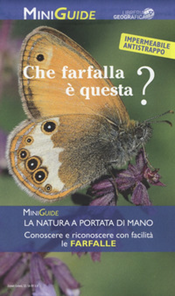 Che farfalla è questa? - Librerie.coop Che farfalla è questa? - Librerie.coop
