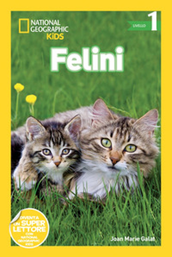 Felini. Livello 1 - Librerie.coop Felini. Livello 1 - Librerie.coop