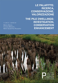 Le palafitte: ricerca, conservazione, valorizzazione. The pile dwellings: investigation, conservation, enhancement - Librerie.coop