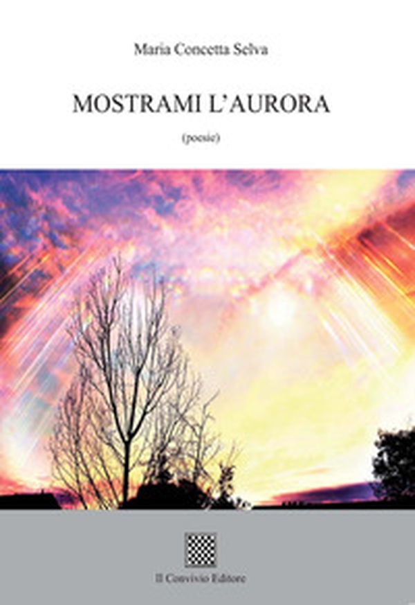 Mostrami l'aurora - Librerie.coop Mostrami l'aurora - Librerie.coop