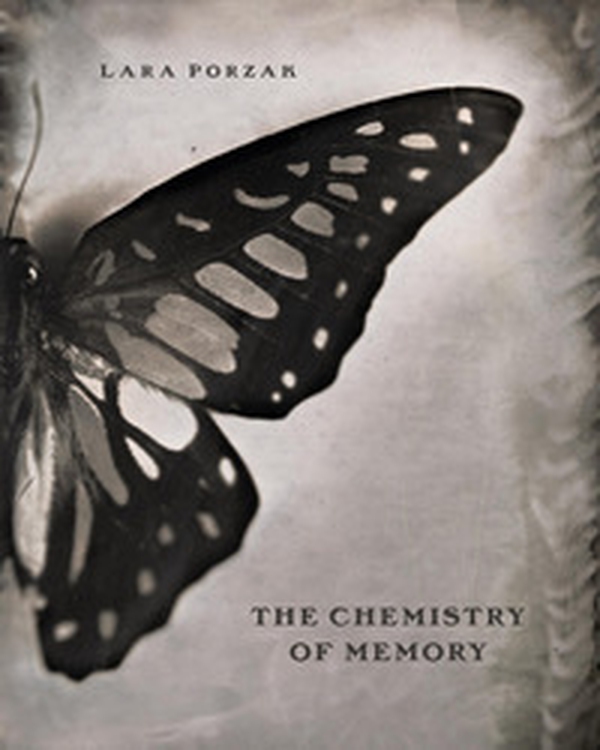 The chemistry of memory - Librerie.coop