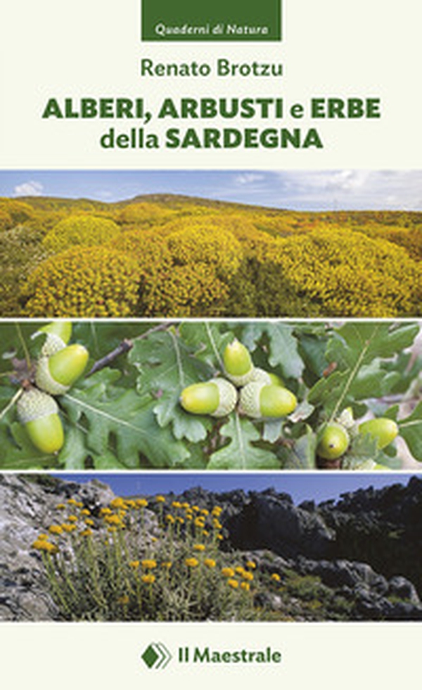 Alberi, arbusti e erbe della Sardegna - Librerie.coop Alberi, arbusti e erbe della Sardegna - Librerie.coop