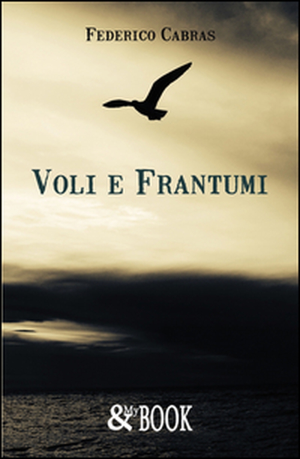 Voli e frantumi - Librerie.coop