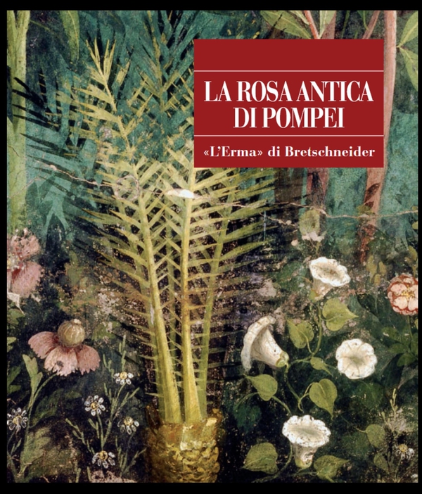 La rosa antica di Pompei - Librerie.coop