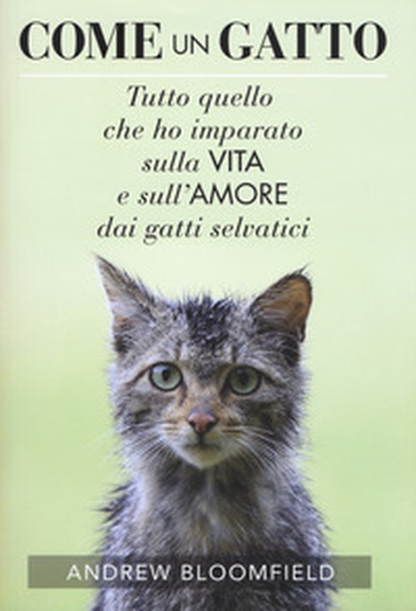 Come un gatto. Tutto quello che ho imparato sulla vita e sull'amore dai gatti selvatici - Librerie.coop Come un gatto. Tutto quello che ho imparato sulla vita e sull'amore dai gatti selvatici - Librerie.coop
