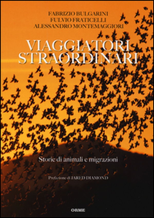 Viaggiatori straordinari. Storie di animali e di migrazioni - Librerie.coop Viaggiatori straordinari. Storie di animali e di migrazioni - Librerie.coop