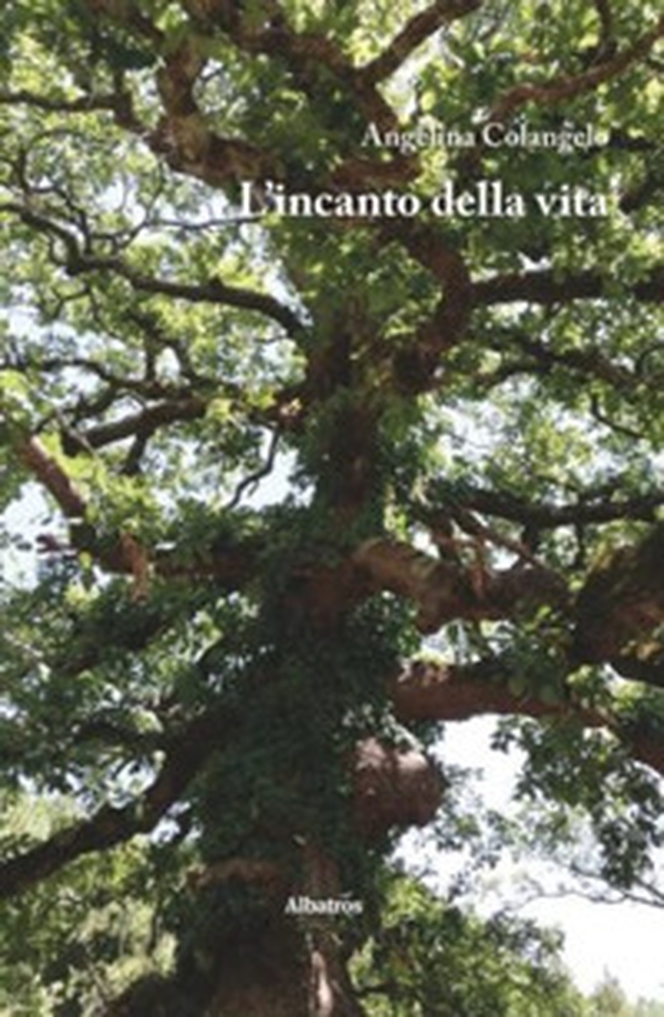 L'incanto della vita - Librerie.coop L'incanto della vita - Librerie.coop
