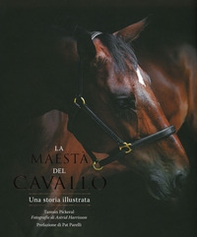 La maestà del cavallo. Una storia illustrata - Librerie.coop