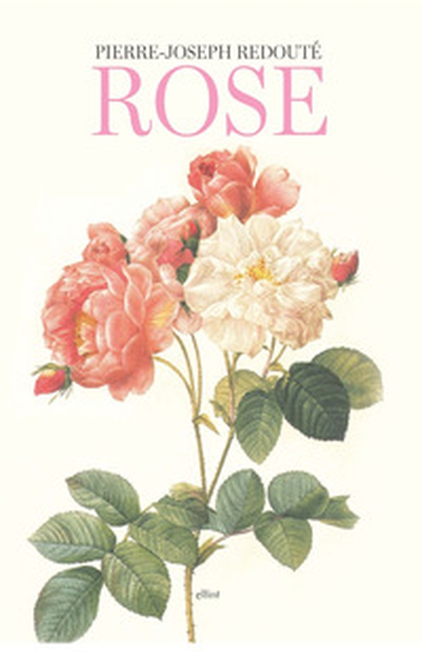 Rose - Librerie.coop Rose - Librerie.coop
