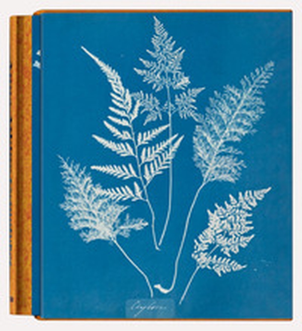 Anna Atkins. Cyanotypes. Ediz. inglese, francese e tedesca - Librerie.coop Anna Atkins. Cyanotypes. Ediz. inglese, francese e tedesca - Librerie.coop
