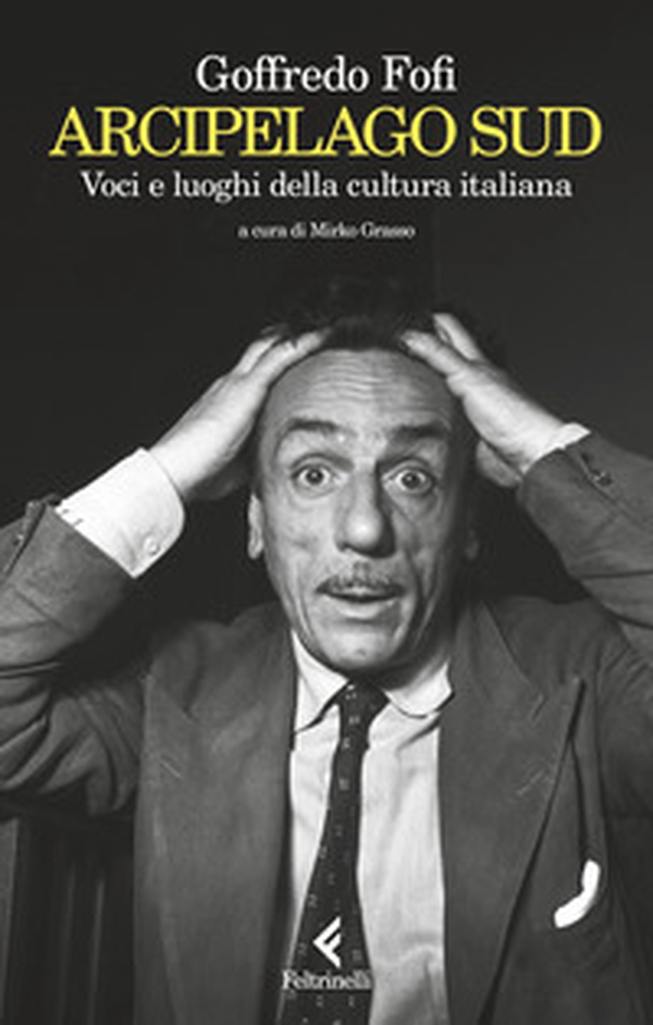 Arcipelago Sud. Voci e luoghi della cultura italiana - Librerie.coop