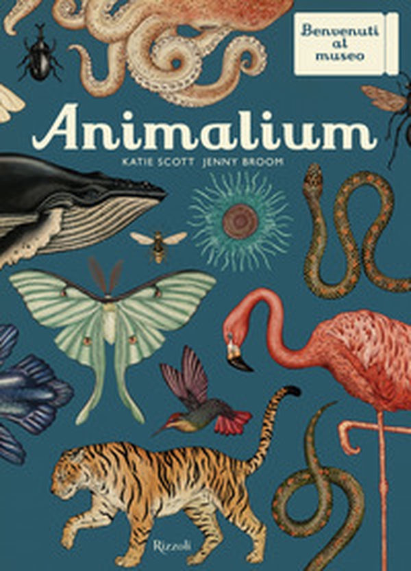Animalium. Il grande museo degli animali - Librerie.coop Animalium. Il grande museo degli animali - Librerie.coop