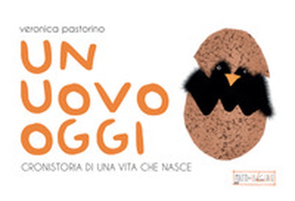 Un uovo oggi. Cronistoria di una vita che nasce - Librerie.coop