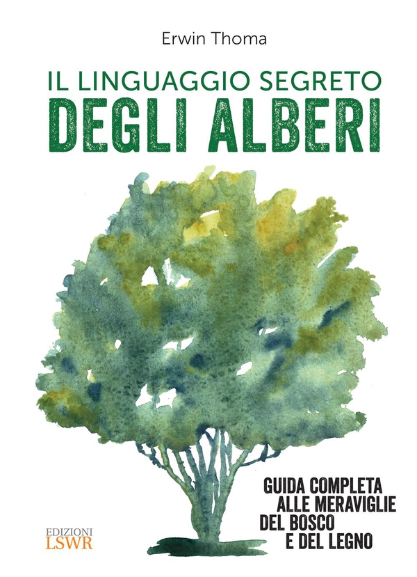 Il linguaggio segreto degli alberi - Librerie.coop Il linguaggio segreto degli alberi - Librerie.coop