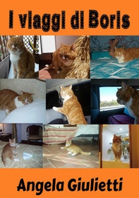 I viaggi di Boris - Librerie.coop