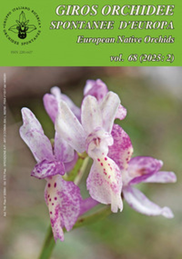 Giros. Orchidee spontanee d'Europa - Vol. 2 - Librerie.coop