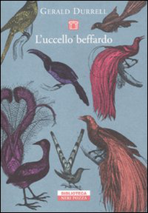 L'uccello beffardo - Librerie.coop L'uccello beffardo - Librerie.coop