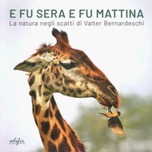 E fu sera e fu mattina. La natura negli scatti di Valter Bernardeschi. Catalogo della mostra (Firenze, 5 settembre 2024-7gennaio 2025). Ediz. italiana e inglese - Librerie.coop E fu sera e fu mattina. La natura negli scatti di Valter Bernardeschi. Catalogo della mostra (Firenze, 5 settembre 2024-7gennaio 2025). Ediz. italiana e inglese - Librerie.coop