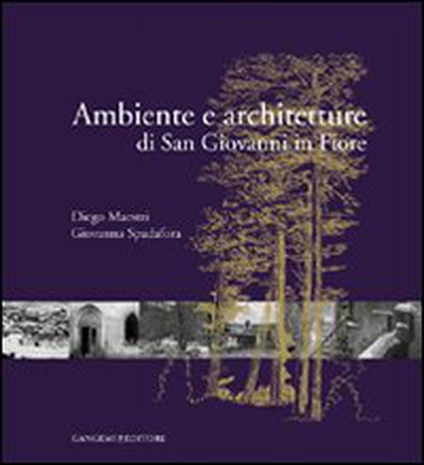 Ambiente e architetture di San Giovanni in Fiore - Librerie.coop Ambiente e architetture di San Giovanni in Fiore - Librerie.coop