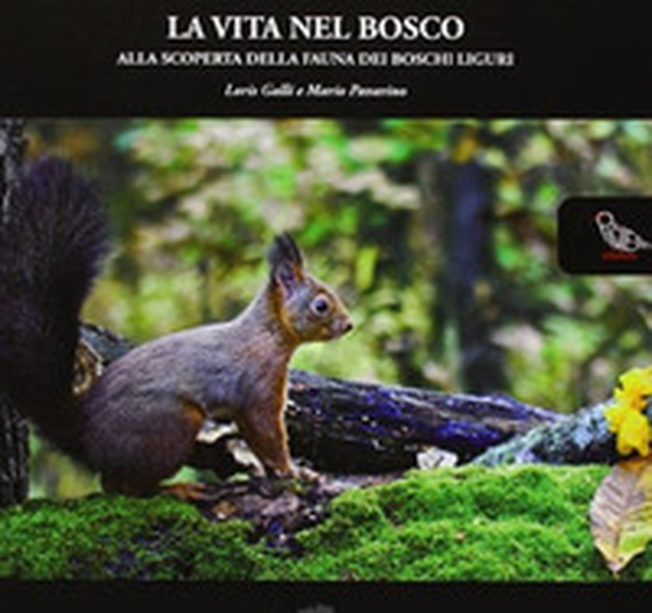 La vita nel bosco. Alla scoperta della fauna dei boschi liguri - Librerie.coop La vita nel bosco. Alla scoperta della fauna dei boschi liguri - Librerie.coop