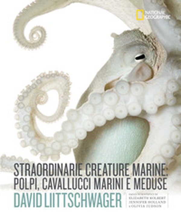 Straordinarie creature marine: polpi, cavallucci marini e meduse - Librerie.coop Straordinarie creature marine: polpi, cavallucci marini e meduse - Librerie.coop