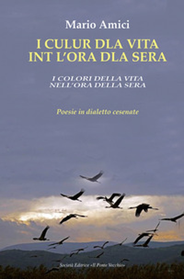 I culur dla vita int l'ora dla sera-I colori della vita nell'ora della sera. Poesie in dialetto cesenate - Librerie.coop I culur dla vita int l'ora dla sera-I colori della vita nell'ora della sera. Poesie in dialetto cesenate - Librerie.coop