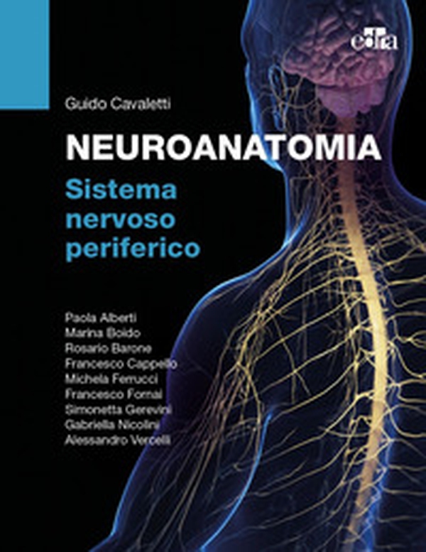 Neuroanatomia. Sistema nervoso periferico - Librerie.coop Neuroanatomia. Sistema nervoso periferico - Librerie.coop