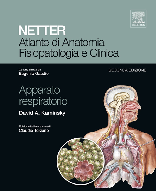 NETTER Atlante di anatomia fisiopatologia e clinica: Apparato Respiratorio - Librerie.coop