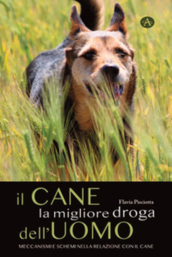 Il cane la migliore droga dell'uomo. Meccanismi e schemi nella relazione con il cane - Librerie.coop Il cane la migliore droga dell'uomo. Meccanismi e schemi nella relazione con il cane - Librerie.coop