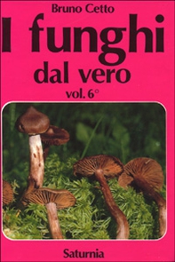 I funghi dal vero - Vol. 6 - Librerie.coop