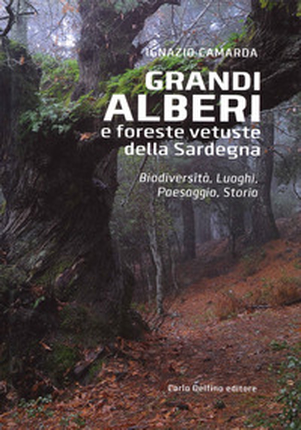 Grandi alberi e foreste vetuste della Sardegna. Biodiversità, luoghi, paesaggio, storia - Librerie.coop Grandi alberi e foreste vetuste della Sardegna. Biodiversità, luoghi, paesaggio, storia - Librerie.coop