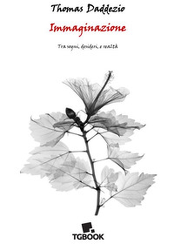 Immaginazione. Tra sogni, desideri e realtà - Librerie.coop Immaginazione. Tra sogni, desideri e realtà - Librerie.coop