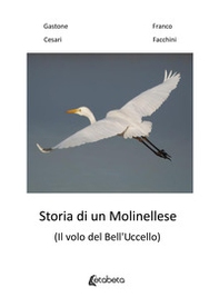 Storia di un molinellese (Il volo del Bell'Uccello) - Librerie.coop