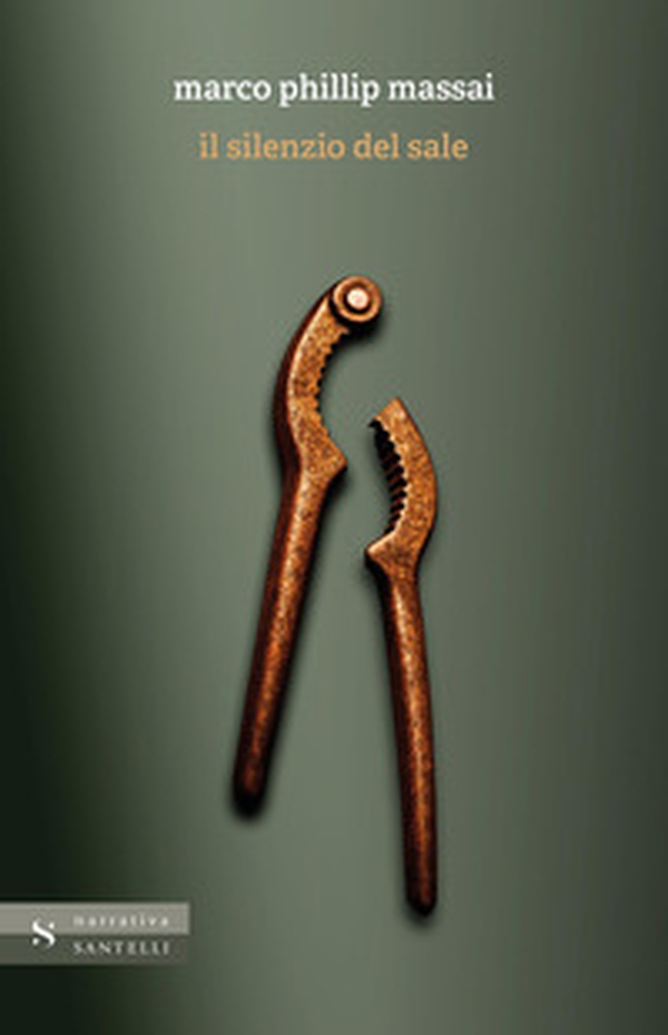 Il silenzio del sale - Librerie.coop