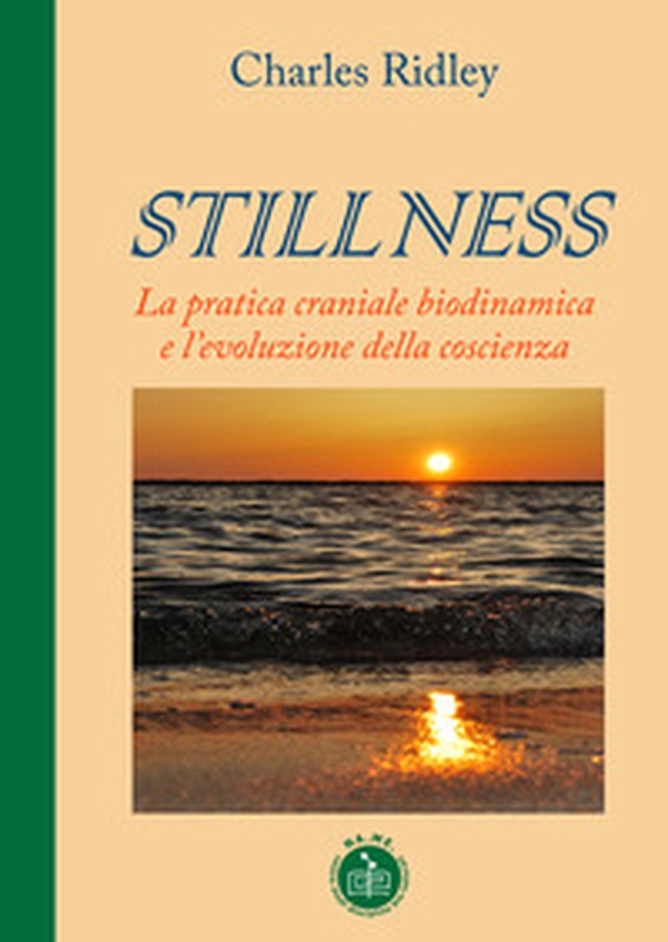 Stillness. La pratica craniale biodinamica e l'evoluzione della coscienza - Librerie.coop Stillness. La pratica craniale biodinamica e l'evoluzione della coscienza - Librerie.coop