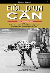 Fiôl d'un cân. Proverbi e modi di dire sugli animali - Vol. 2 - Librerie.coop Fiôl d'un cân. Proverbi e modi di dire sugli animali - Vol. 2 - Librerie.coop