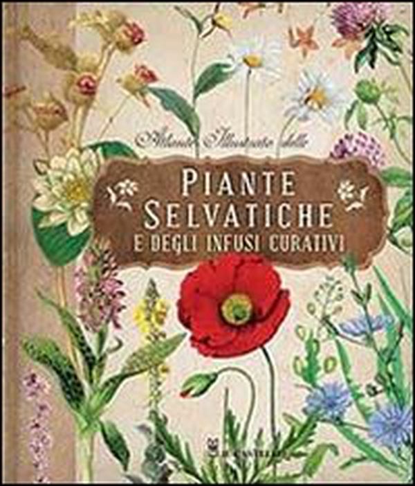 Atlante illustrato delle piante selvatiche e degli infusi curativi - Librerie.coop Atlante illustrato delle piante selvatiche e degli infusi curativi - Librerie.coop