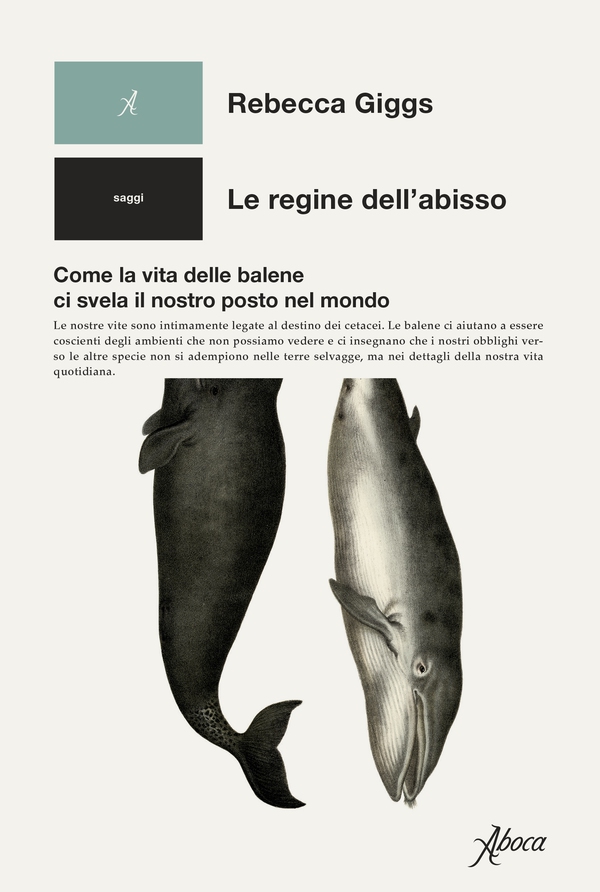 Le regine dell'abisso - Librerie.coop Le regine dell'abisso - Librerie.coop