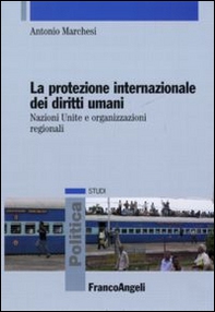 La protezione internazionale dei diritti umani. Nazioni Unite e organizzazioni regionali - Librerie.coop