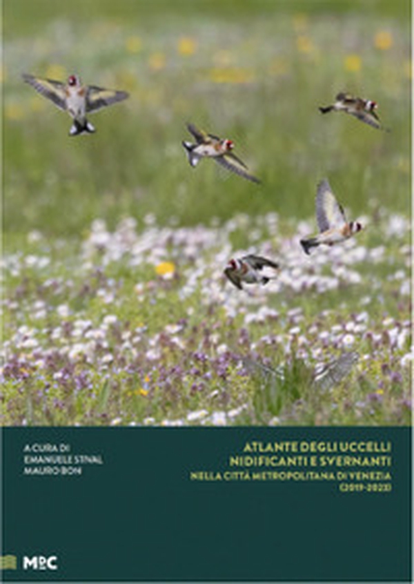 Atlante degli uccelli nidificanti e svernanti nella città metropolitana di Venezia (2019-2023) - Librerie.coop