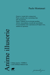 Anime illusorie - Librerie.coop