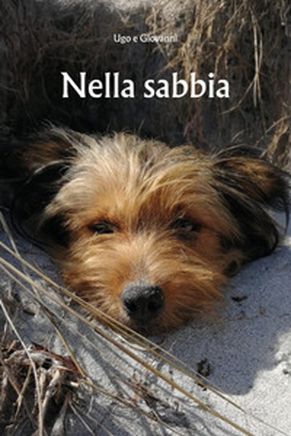 Nella sabbia - Librerie.coop