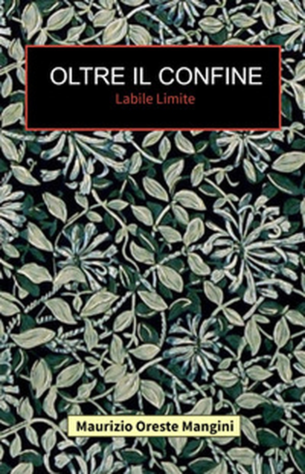 Oltre il confine. Labile limite - Librerie.coop Oltre il confine. Labile limite - Librerie.coop