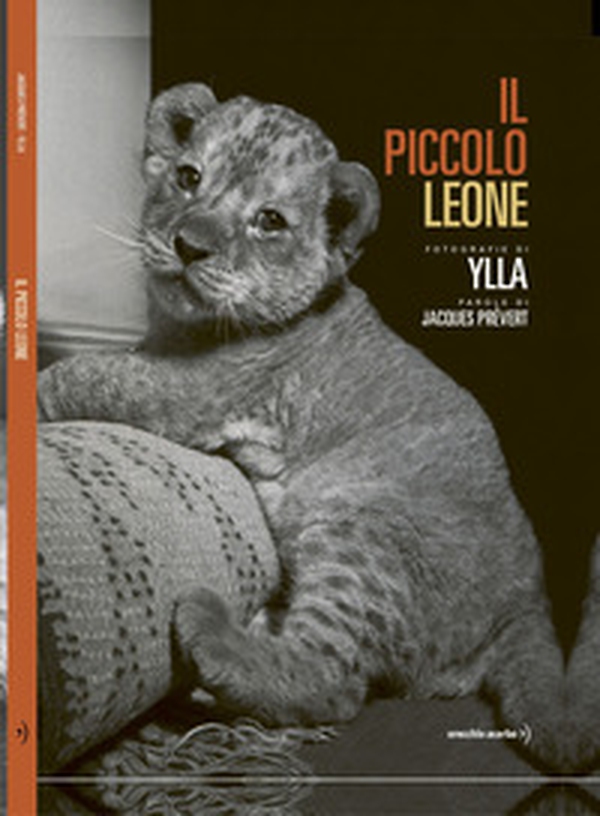 Il piccolo leone - Librerie.coop Il piccolo leone - Librerie.coop