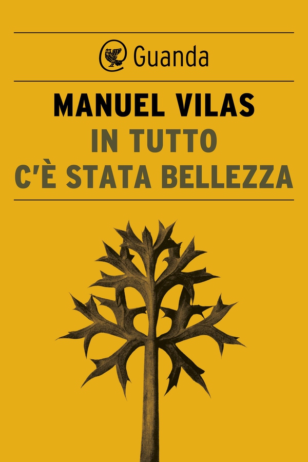 In tutto c'è stata bellezza - Librerie.coop In tutto c'è stata bellezza - Librerie.coop