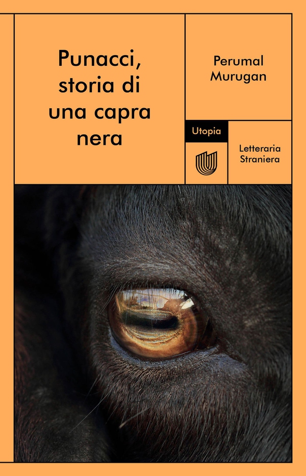 Punacci, storia di una capra nera - Librerie.coop Punacci, storia di una capra nera - Librerie.coop