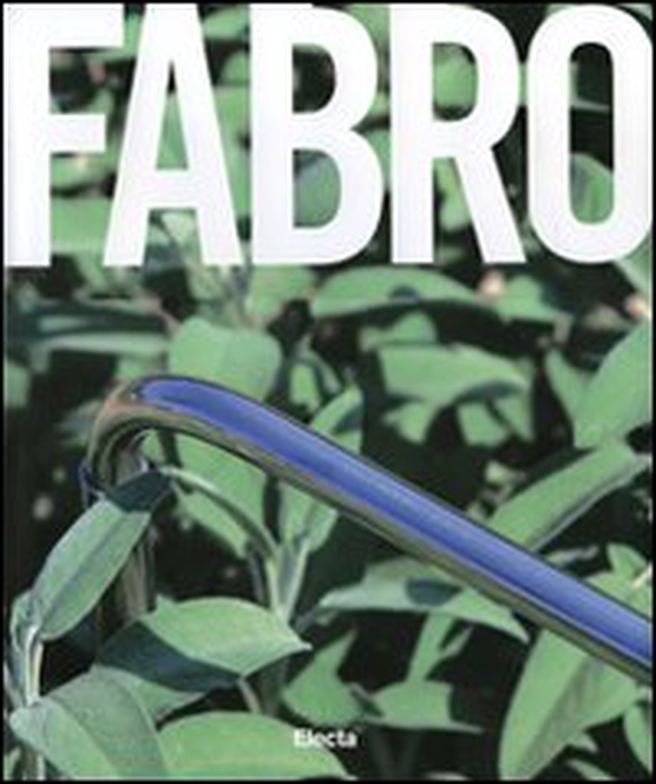 Luciano Fabro. Catalogo della mostra (Napoli, 21 ottobre 2007-7 gennaio 2008). Ediz. inglese - Librerie.coop Luciano Fabro. Catalogo della mostra (Napoli, 21 ottobre 2007-7 gennaio 2008). Ediz. inglese - Librerie.coop