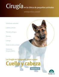 Cirugía en la clínica de pequeños animales. Cuello y cabeza. Vol. II - Librerie.coop
