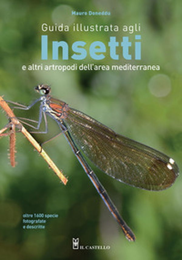 Guida illustrata agli insetti e altri artropodi dell'area mediterranea - Librerie.coop Guida illustrata agli insetti e altri artropodi dell'area mediterranea - Librerie.coop