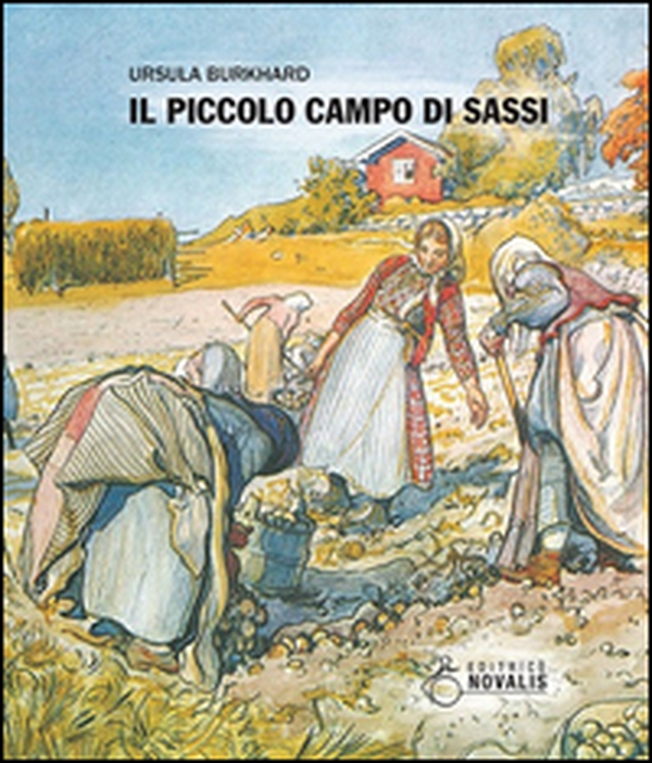 Il piccolo campo di sassi - Librerie.coop Il piccolo campo di sassi - Librerie.coop